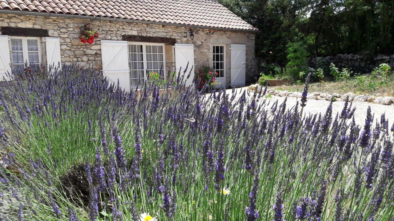 Les Vitarelles En Quercy Bed & Breakfast Berganty